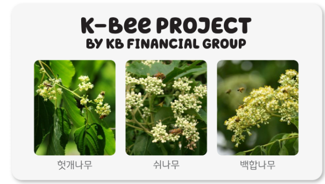 KB금융은 이상 기후로 인해 전국적으로 동시에 꽃이 피고, 개화 유지 기간도 점점 짧아지고 있는 점을 고려하여 헛개나무, 쉬나무, 백합나무 등 다양한 묘목으로 밀원숲을 조성하고 있다. 사진/ KB금융