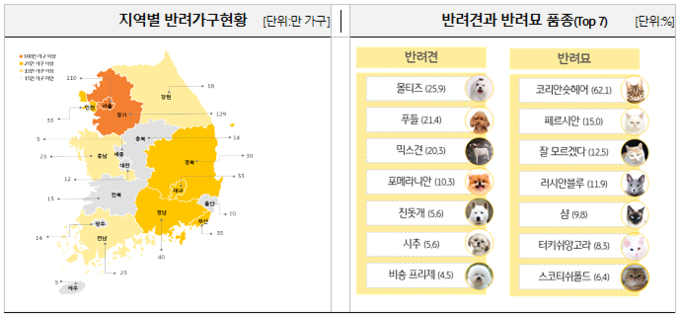 이미지/KB금융그룹
