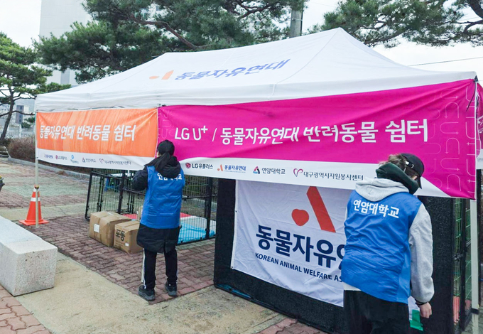 의성체육관 인근에 설치된 국내 최초 반려동물 특화 구호소의 모습. 사진/ LG유플러스
