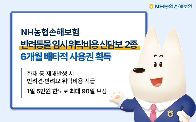 이미지/농협손해보험