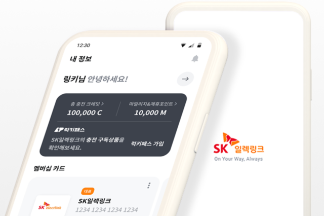 SK일렉링크, 전자금융업 등록··· "개정안 시행 이후 업계 최초"