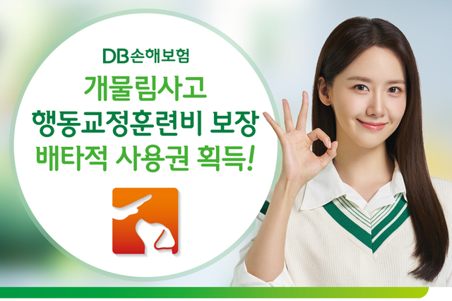 DB손해보험, 개물림사고 행동교정훈련비 보장 배타적 사용권 획득