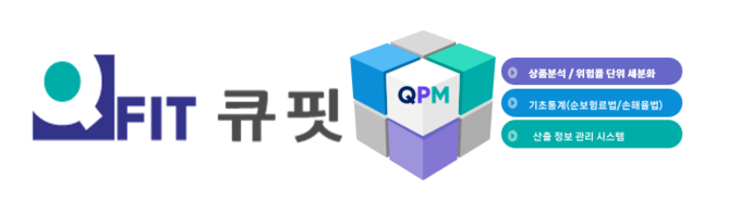 큐핏, 생명보험 4개사 경험위험률 산출 시스템 구축 사업 수주