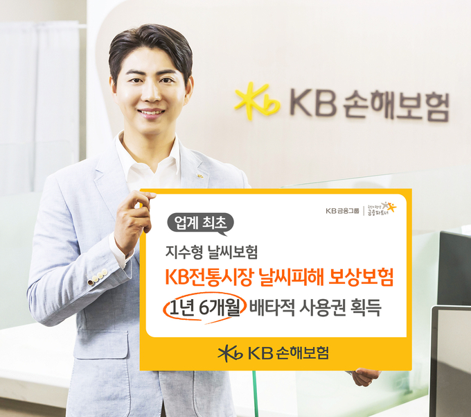 KB손해보험, 업계 최초 지수형 날씨보험 ‘KB 전통시장 날씨피해 보상보험’ 1년 6개월 배타적 사용권 획득