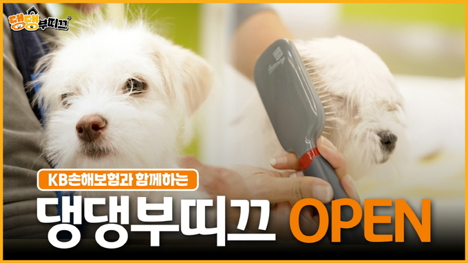 KB손해보험, 신규 유튜브 콘텐츠 ‘댕댕부티크’ 공개